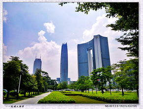 绿满莞邑 清新东莞的城市绿化建设与管理实践