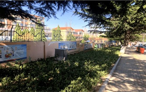 深耕城市绿化管理 加强裸露土地集中治理，提升城市生态品质