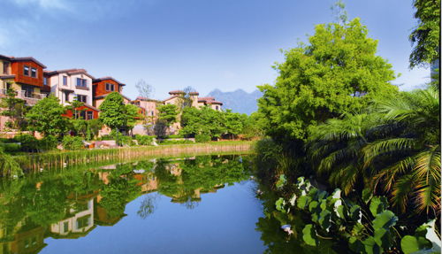 禅城绿韵 城市绿化、景观设计与管理的协同之道