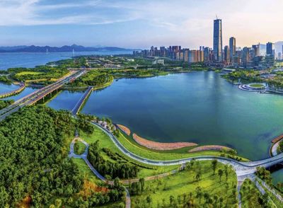 从“来了就是深圳人”到“创新生态共同体” 深圳以包容普惠理念重塑城市发展新格局