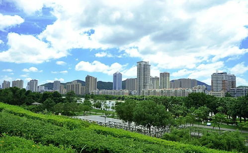 环卫绿化一体化运营 让城市园林绿化管理更系统、更精细