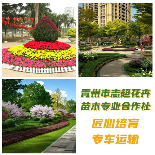 城市绿化建设与管理的生态哲学 从“大量供应”到“可持续发展”
