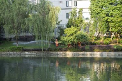 夏日守望 绍兴园林工人的清晨浇灌与都市植被之魂