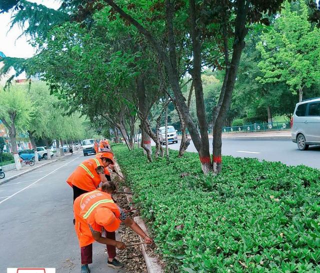 荥阳市“地毯式”清理绿化带 助力文明城市创建